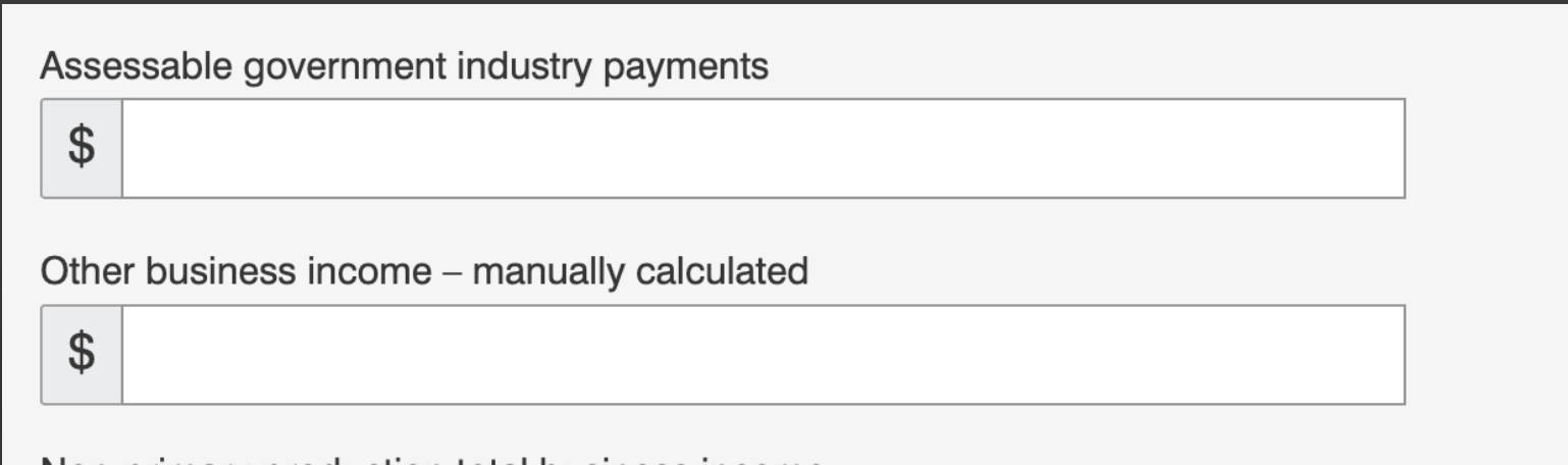 Assessable government industry paymentsとOther business income - manually calculatedの入力欄